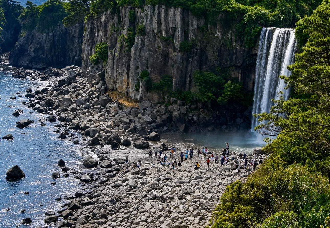 Jeju Spring Blossom Tour | Instagrammable Photo Spots - Klook